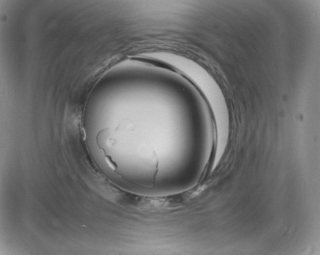 X0000083660329200702261148