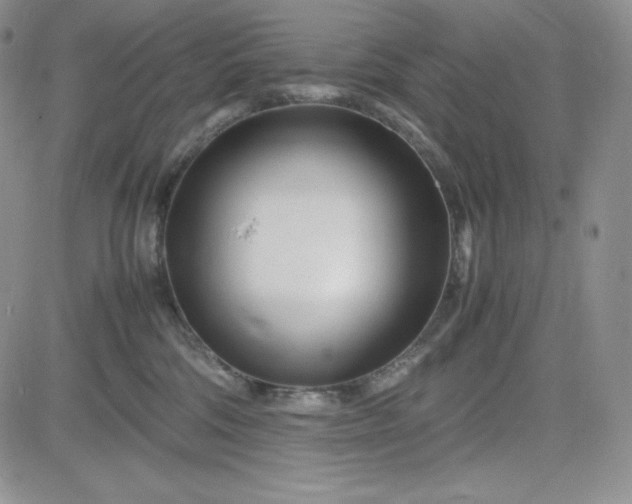 X0000083660330200702261148