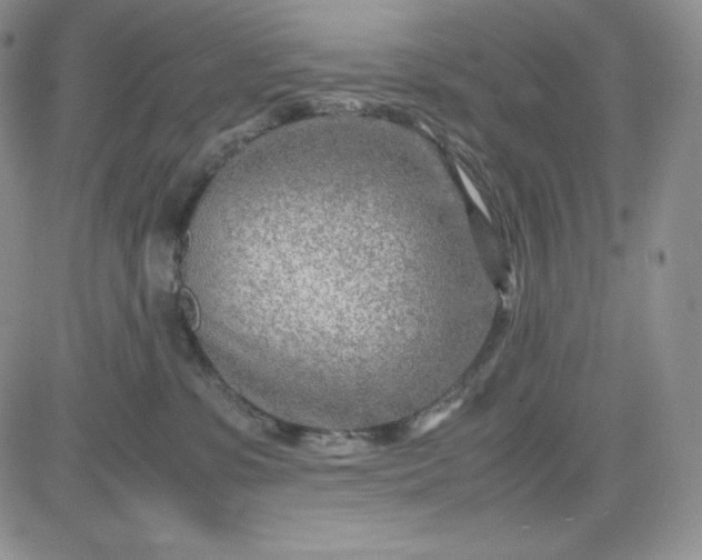 X0000083660331200702261148