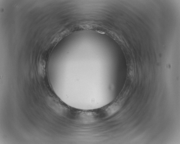 X0000083660332200702261148