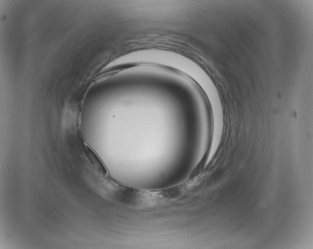 X0000083660333200702261148