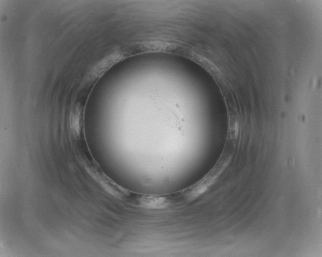 X0000083660334200702261148