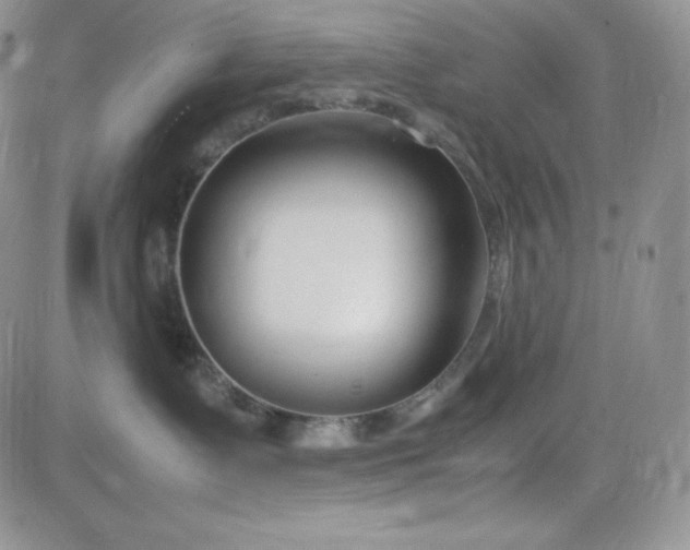 X0000083660335200702261148