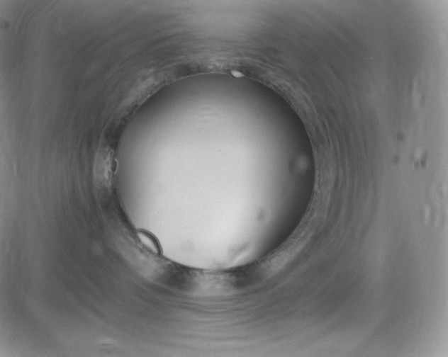 X0000083660336200702261148