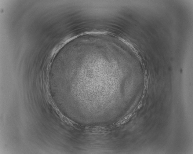 X0000083660337200702261147
