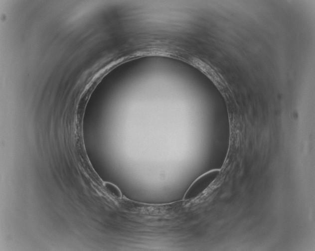 X0000083660338200702261147