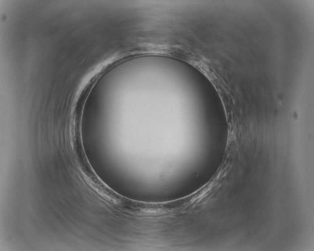 X0000083660342200702261147