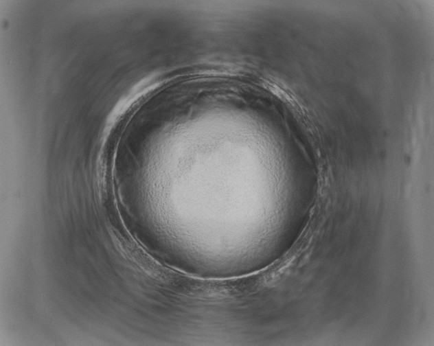 X0000083660343200702261147