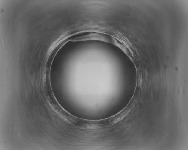X0000083660344200702261147
