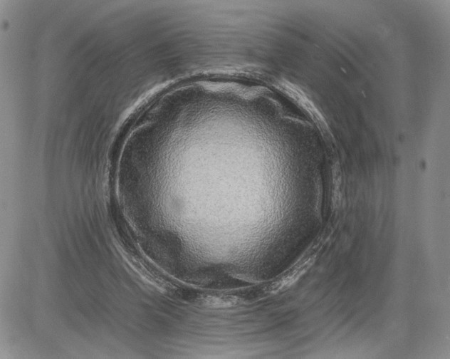 X0000083660346200702261147