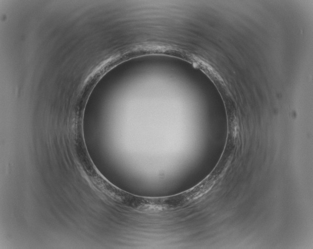 X0000083660352200702261147
