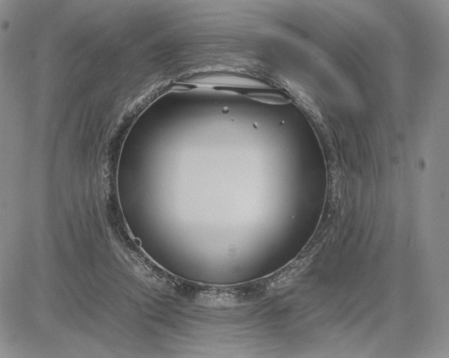 X0000083660354200702261147