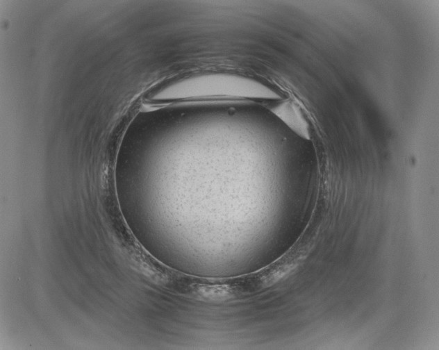 X0000083660355200702261147