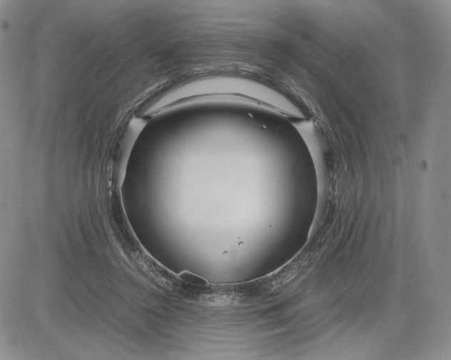X0000083660356200702261147