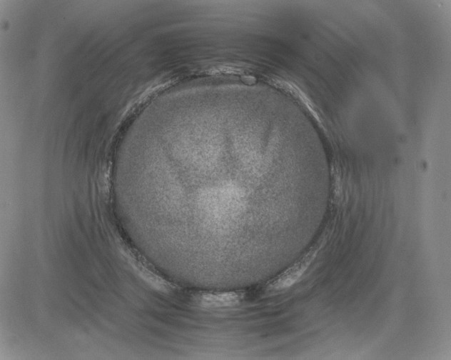 X0000083660357200702261147