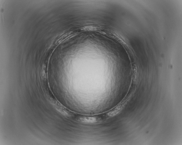 X0000083660361200702261147