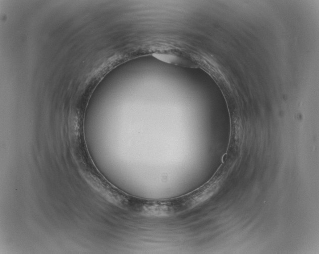 X0000083660362200702261147