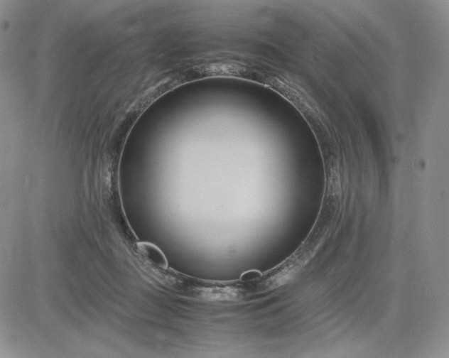 X0000083660363200702261147