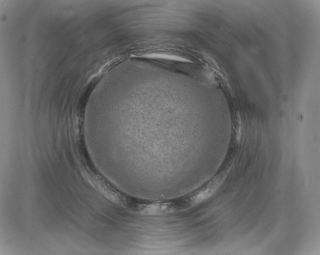 X0000083660366200702261147