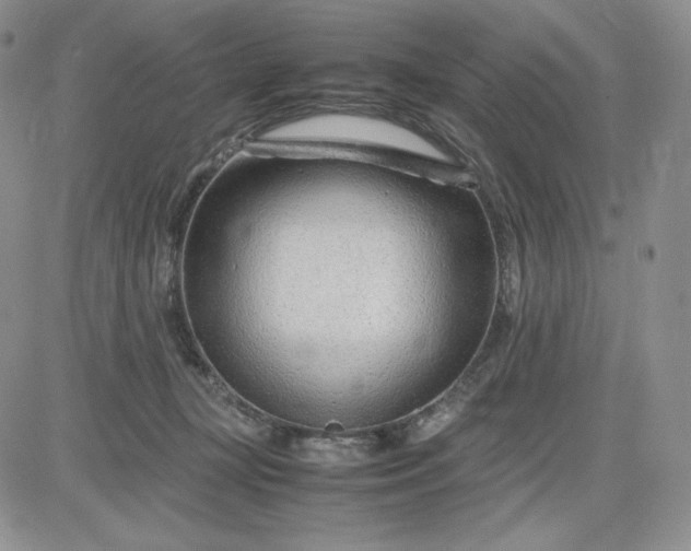 X0000083660367200702261148