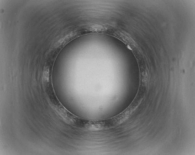 X0000083660368200702261148