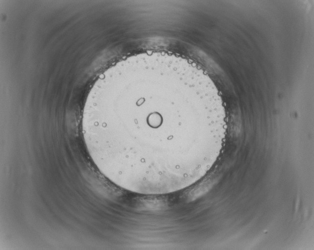 X0000083660370200702261148