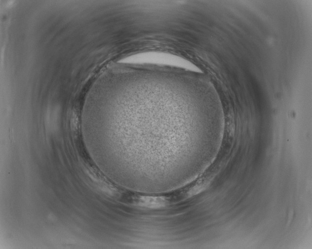 X0000083660371200702261148