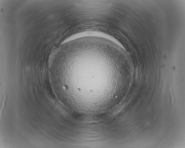 X0000083660372200702261148