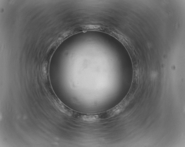 X0000083660373200702261148