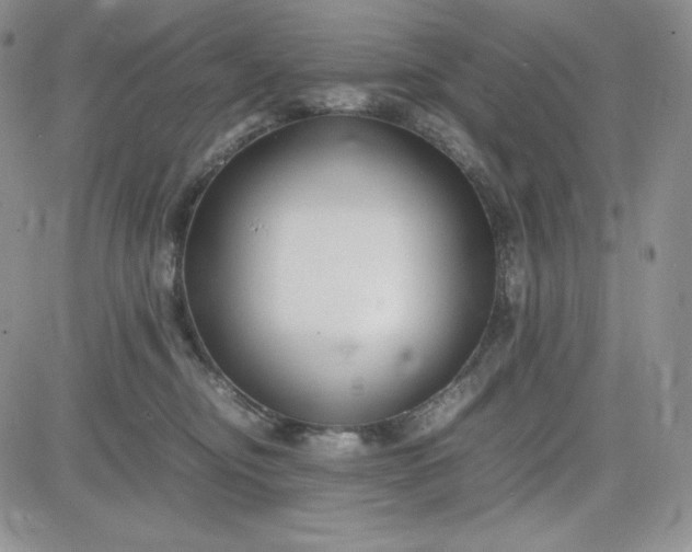 X0000083660374200702261148