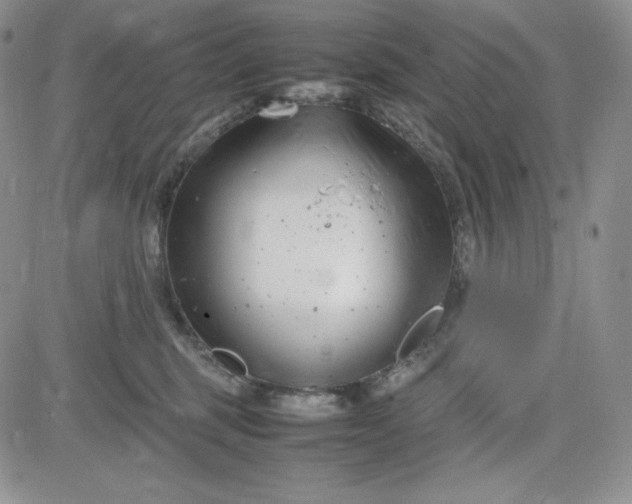 X0000083660375200702261148