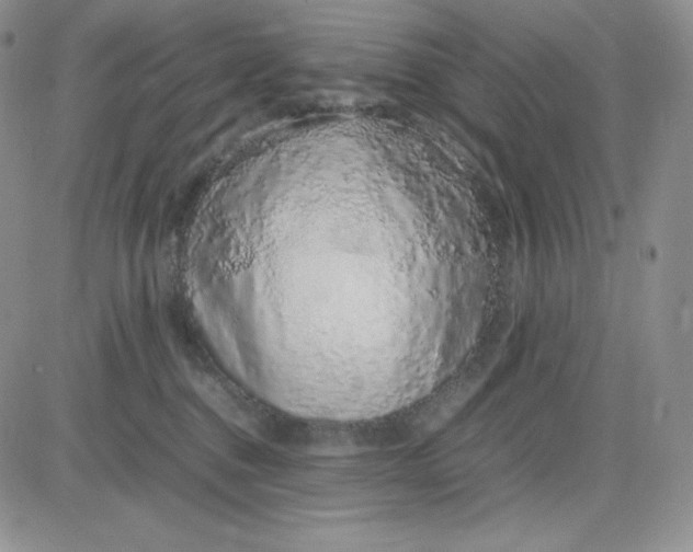 X0000083660376200702261148