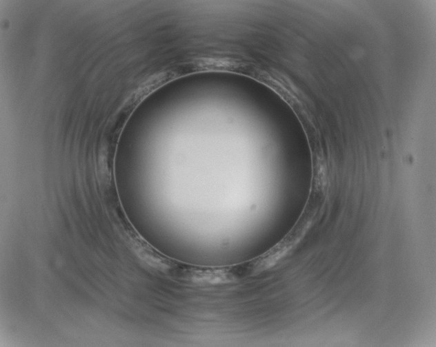 X0000083660377200702261148