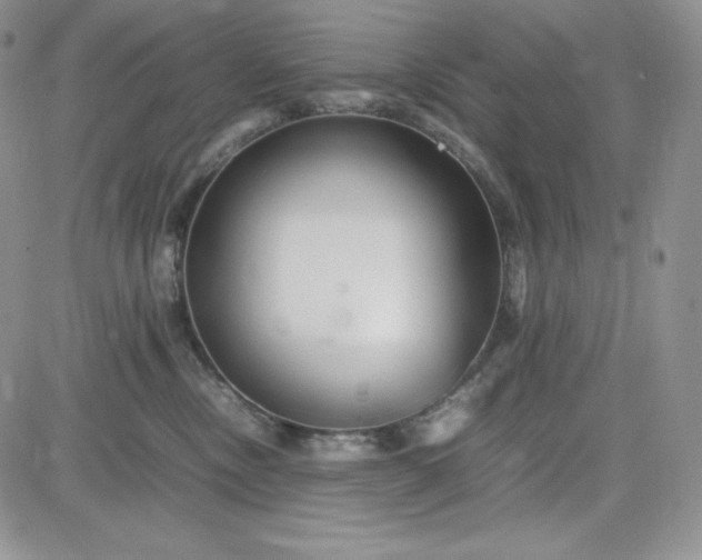 X0000083660378200702261148