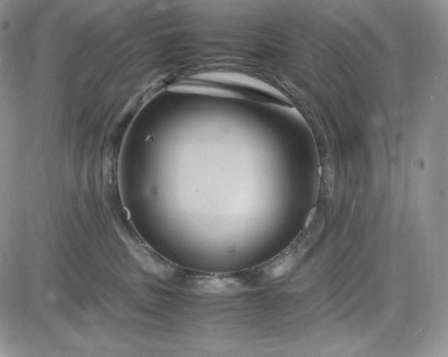 X0000083660379200702261148