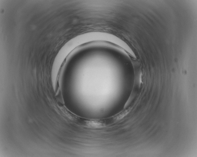 X0000083660380200702261148