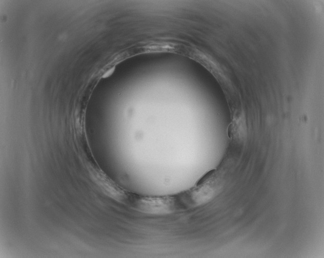 X0000083660381200702261148