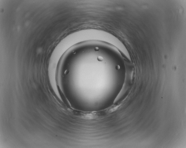 X0000083660382200702261148