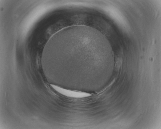 X0000083660383200702261148