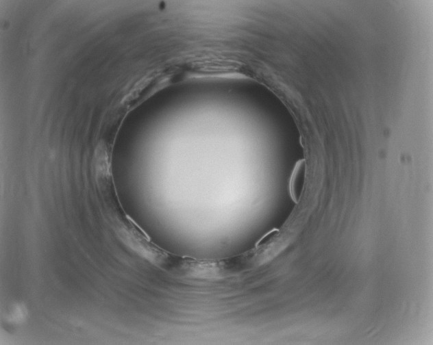 X0000083660384200702261148