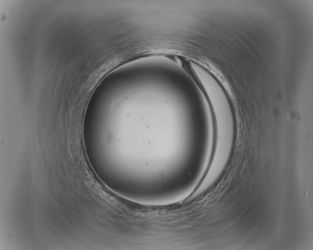 X0000083660385200702261147