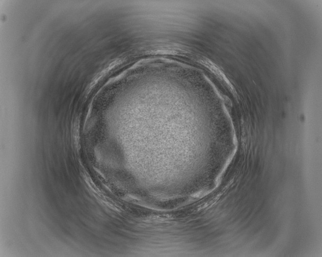 X0000083660386200702261147