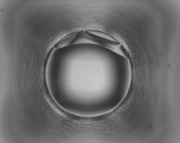 X0000083660389200702261147