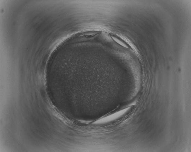 X0000083660391200702261147