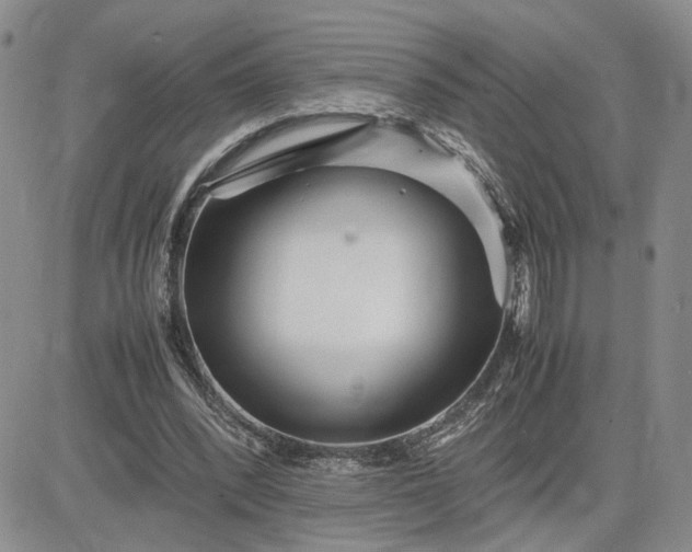 X0000083660392200702261147