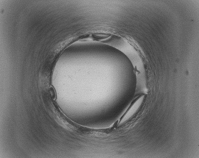 X0000083660393200702261147