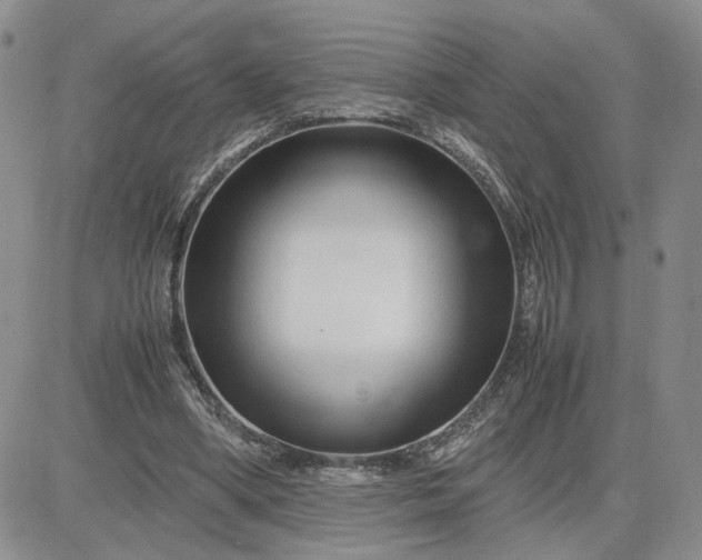 X0000083660394200702261147