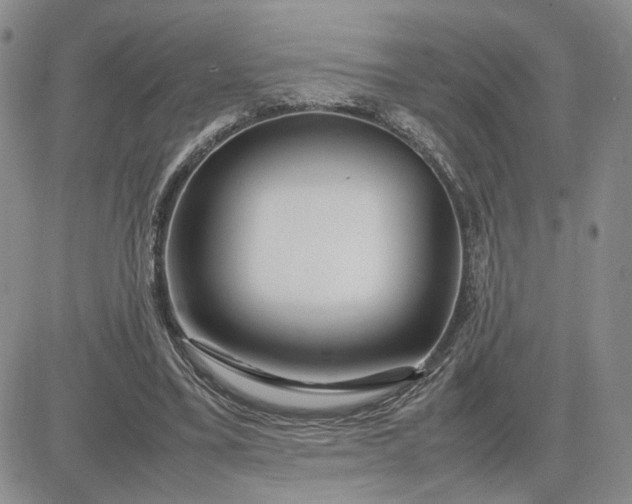 X0000083660395200702261147