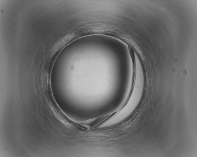 X0000083660397200702261147