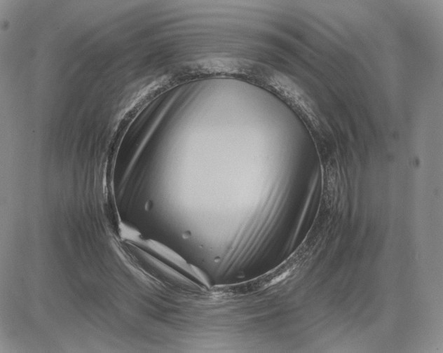 X0000083660398200702261147